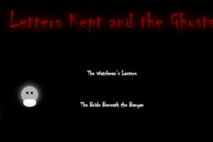 Gadwal – A short visual narrative of the town submerged in a climate catastrophe